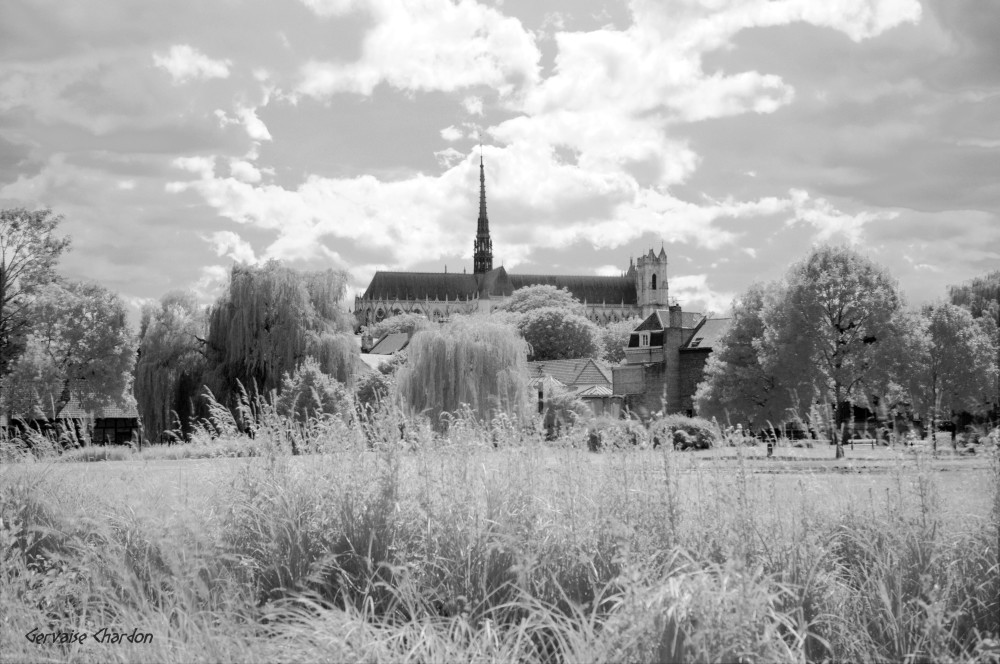 Notre-Dame d'Amiens, vue du Parc Saint-Pierre