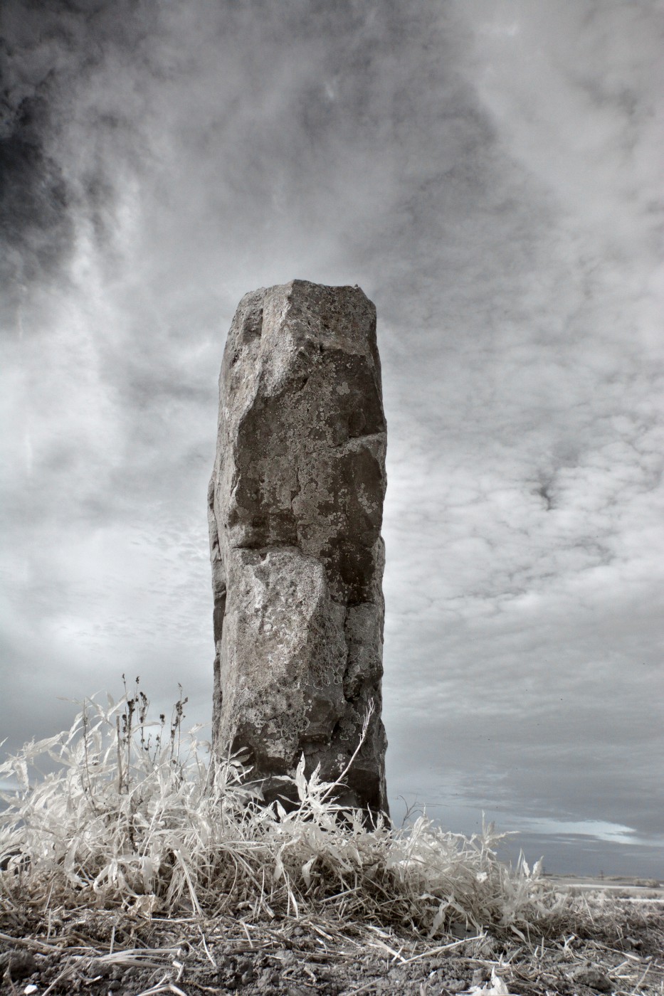 Le menhir de Bavelincourt, dressé vers le ciel.