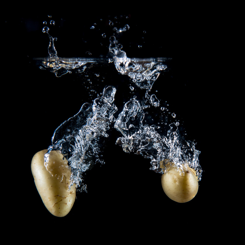 Hommage à la Pomme de Terre picarde :  " Duo de petites rates à l'eau " . Cliché Reflex /Photo "High speed " avec 2 flashes . GGG