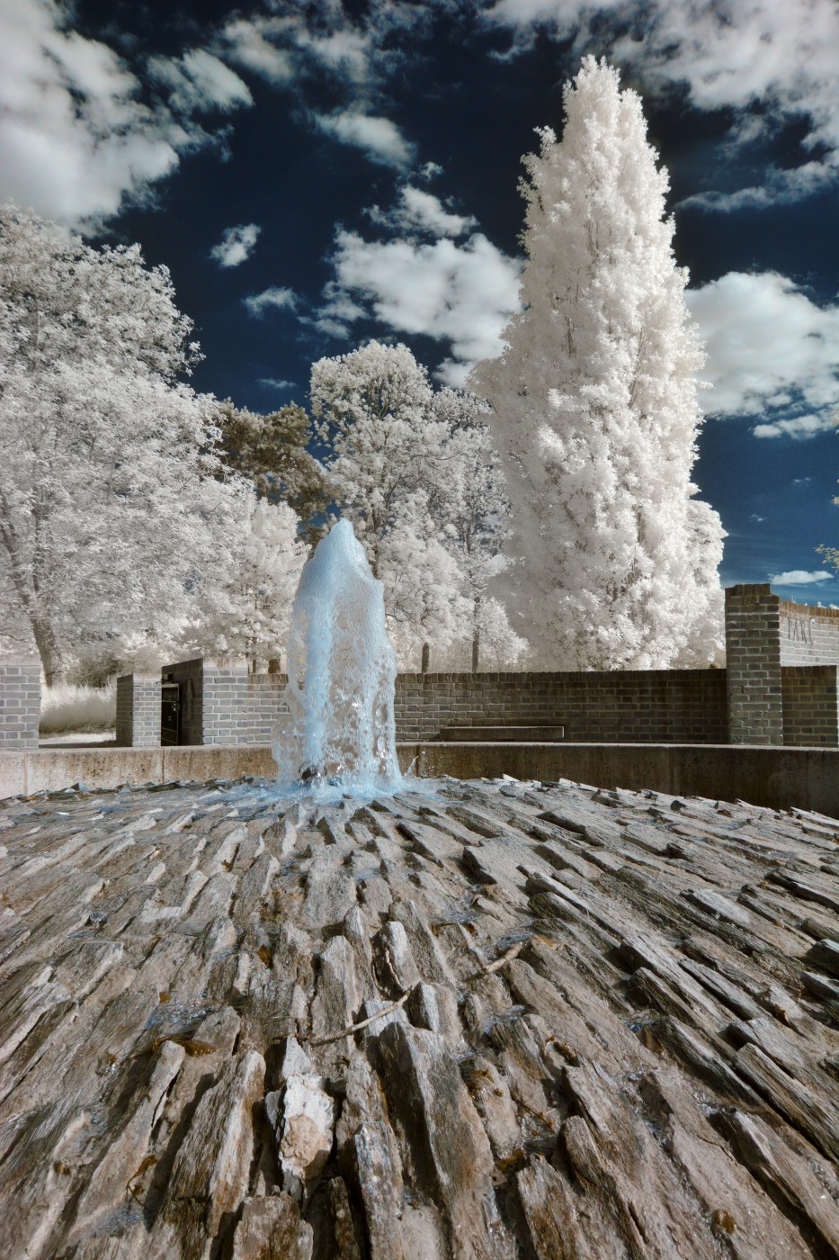 Minérale, végétale, aquatique et graphique, la petite fontaine du parc de Dury.