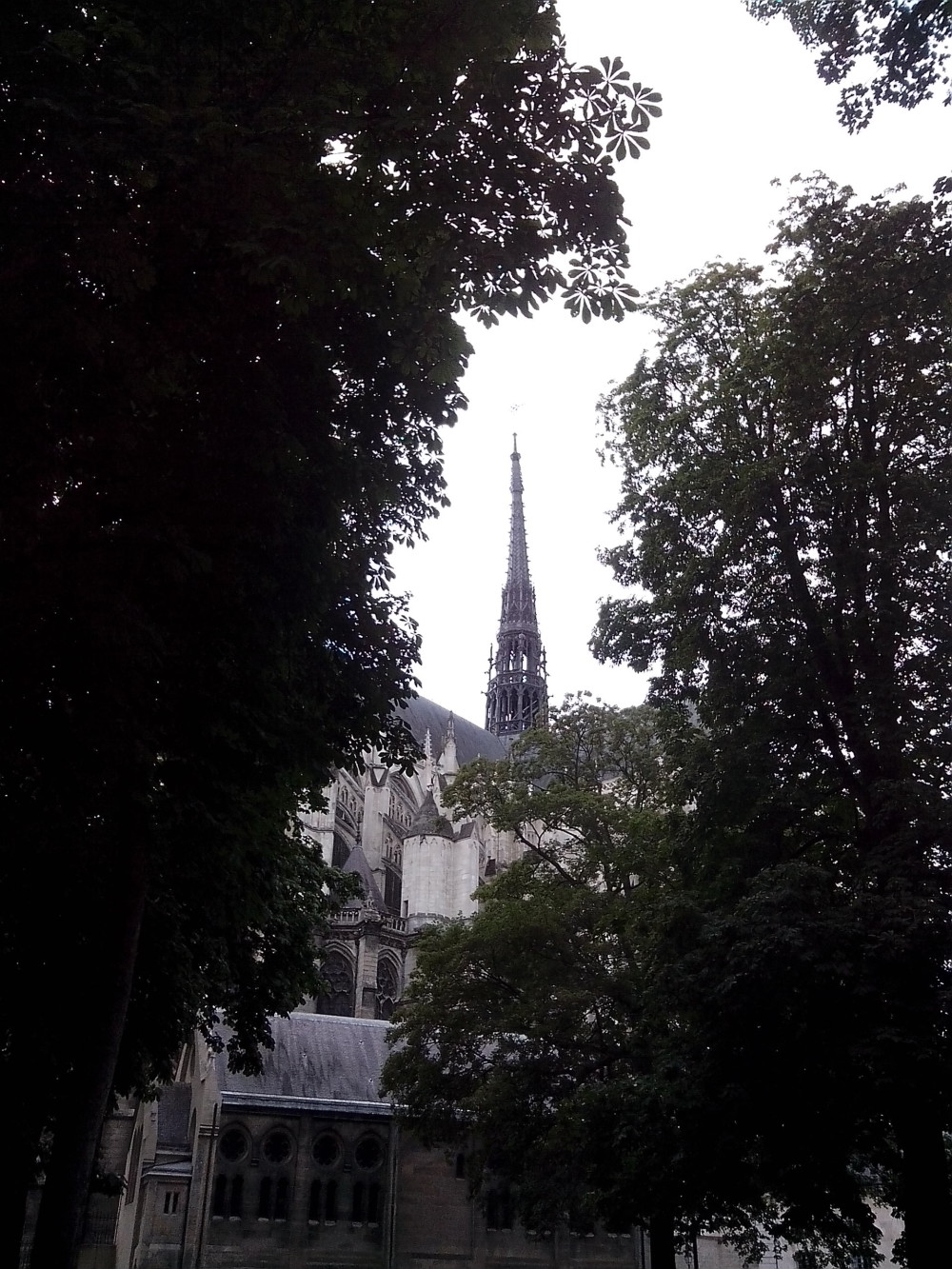 la cathédrale d'amiens vue du parc de l'évéché d'amiens ,photo prise avec smartphone