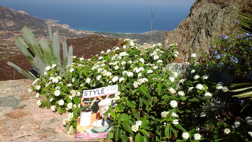 En vacances en Corse...j'emporte et je lis Style&CO !!!😎