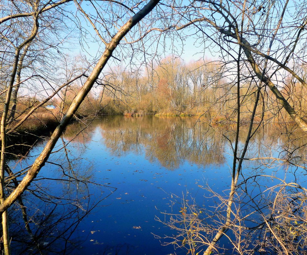 rêverie sur les étangs... (photo prise entre Argoeuve et Saint Sauveur)