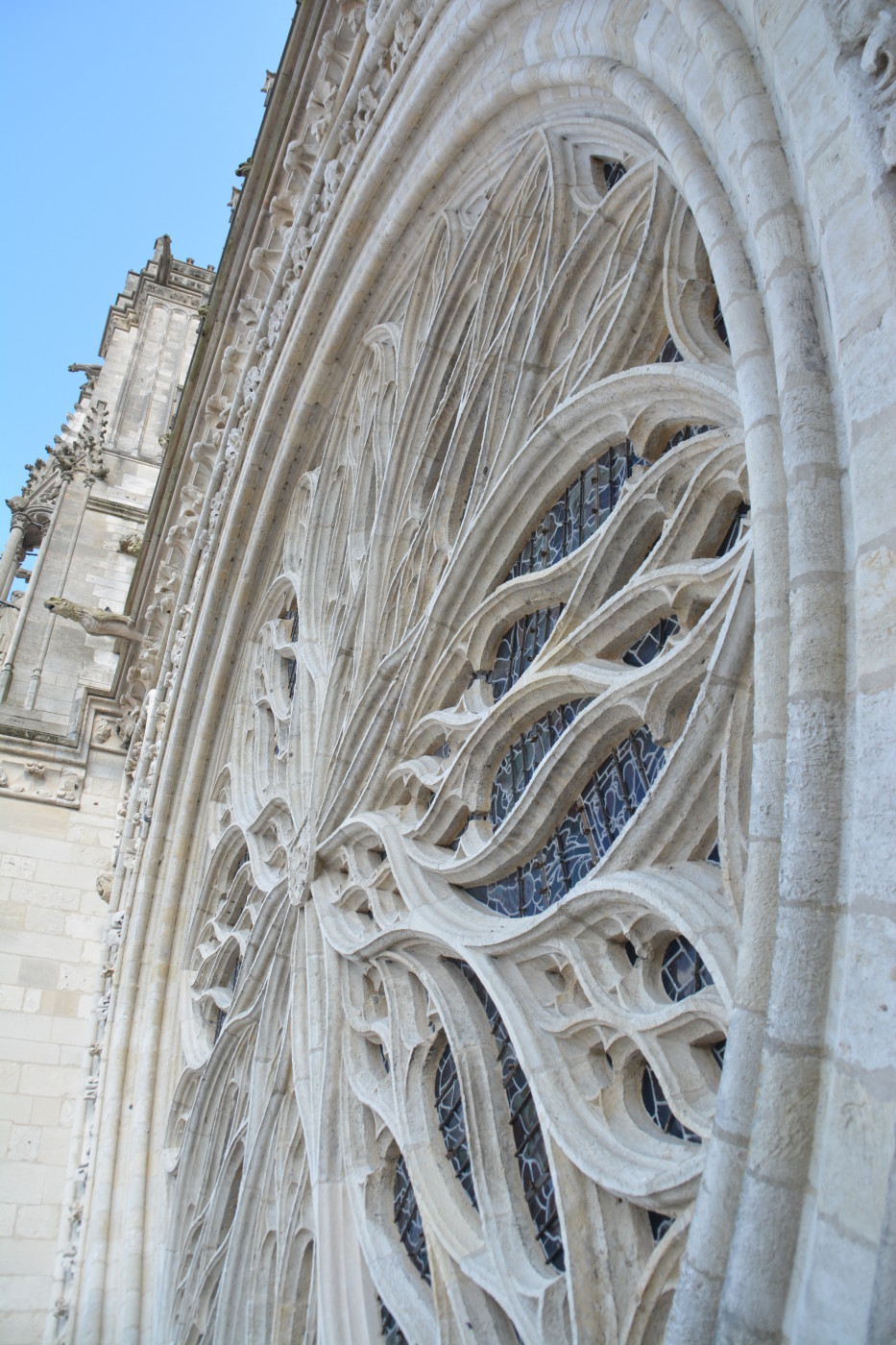 Sous la Rosace de la Cathédrale d'Amiens.