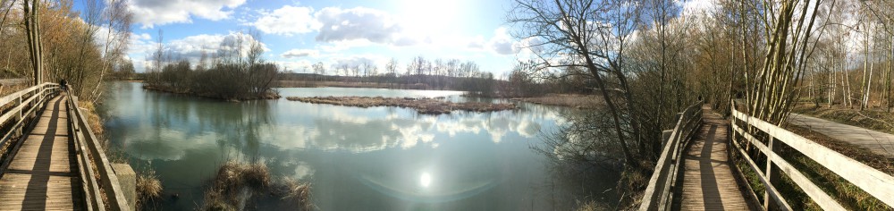 la réserve naturelle de l'étang Saint-Ladre