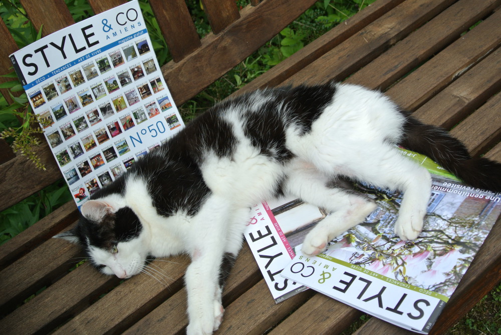 Régine Obin : Style and Cot : Dédé se repose confortablement au jardin