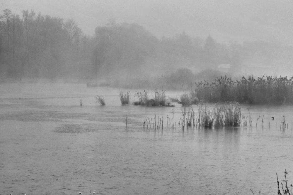 matin d'hiver sur les étangs à Boves