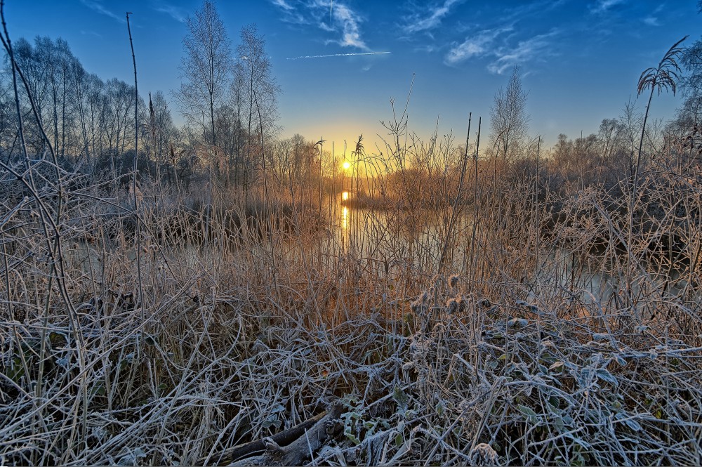 Le soleil se lève sur le marais de Génonville, une maigre chaleur dans la froidure de l'hiver.