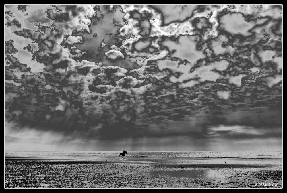 Apparition à FORT-MAHON : Une amazone sur son cheval au galop sur la plage....