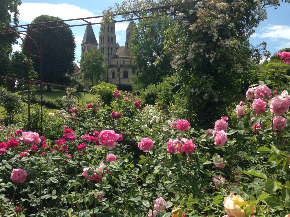 Mon petit coin de Paradis en Picardie : La Roseraie de Morienval