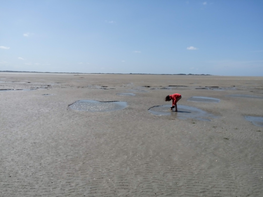 8 Août 2016 - Le Crotoy - Le phénomène étonnant des marées. La mer a disparu : une petite fille est à sa recherche !!!