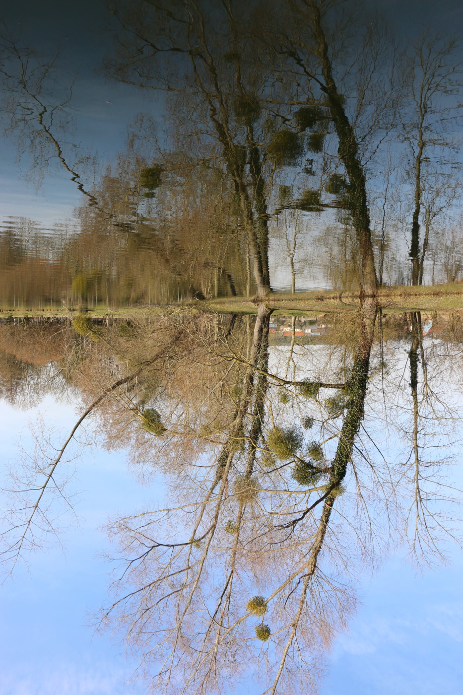 Balade magique aux étangs de Loeuilly   (photo inversée)