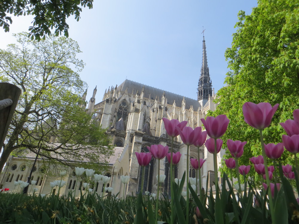 La cathédrale d'Amiens au printemps
