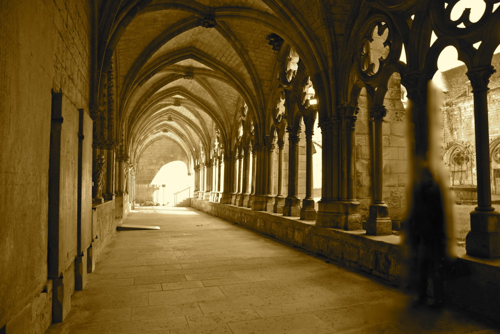 Cloitre de la Cathédrale de Noyon (Oise)