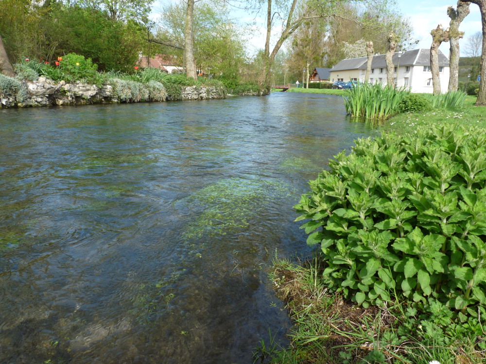 Au fil de l'eau à Guizancourt ; qu'elle est verte, ma vallée!