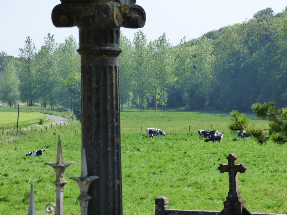 A Agnières, dans la Somme, composition en vaches et croix