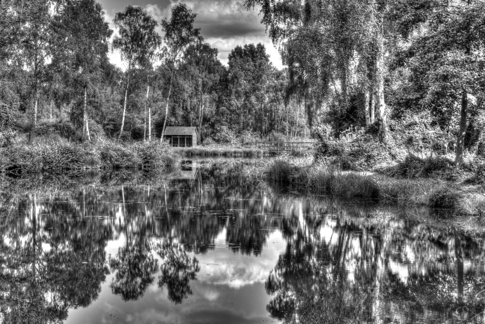 les étangs de Génonville près de Moreuil